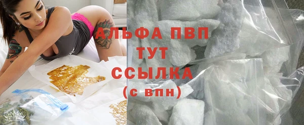 спиды Абаза