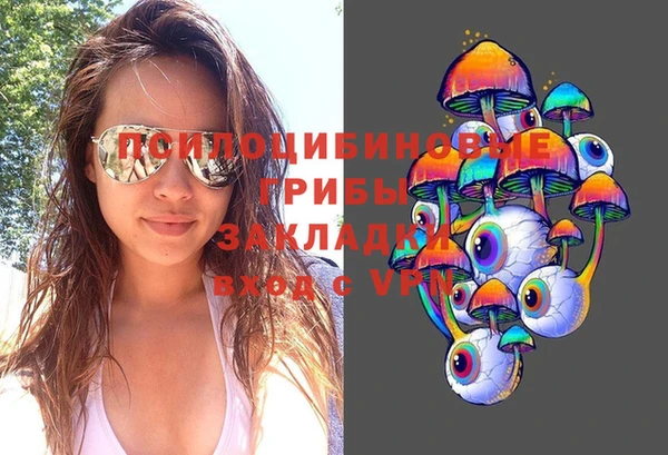 PSILOCYBIN Алексеевка