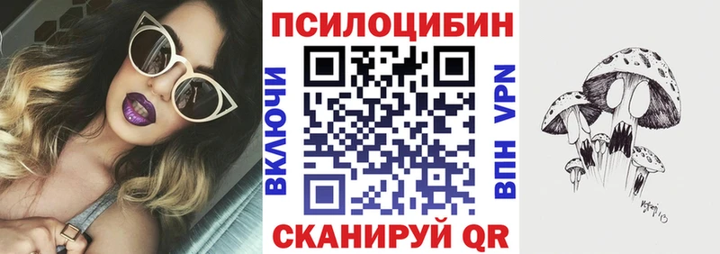 Псилоцибиновые грибы Psilocybine cubensis  где купить наркоту  это Telegram  Магнитогорск  OMG ссылки 