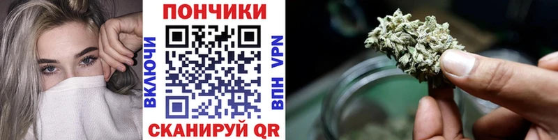 сколько стоит  mega ссылки  Бошки марихуана план  Магнитогорск 